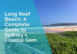 Long Reef Beach Guide