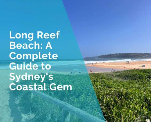 Long Reef Beach Guide