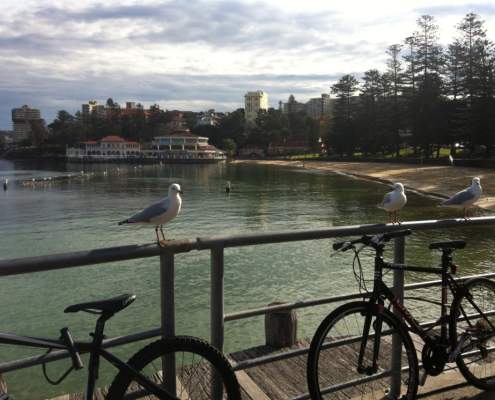 Manly Cove Beach