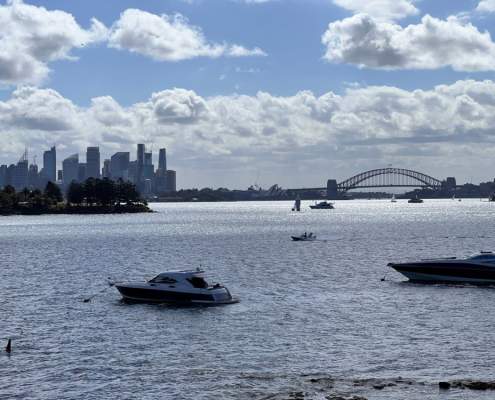 Milk Beach Harbour Bridge Views