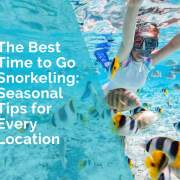 The best time to go snorkeling