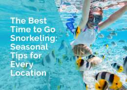 The best time to go snorkeling