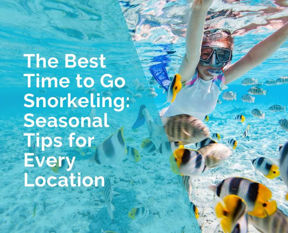 The best time to go snorkeling